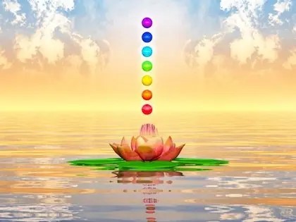 Armonia dei 12 corpi - Modulo 2 Descrizione del Modulo obiettivi ARGOMENTI cosa imparerai